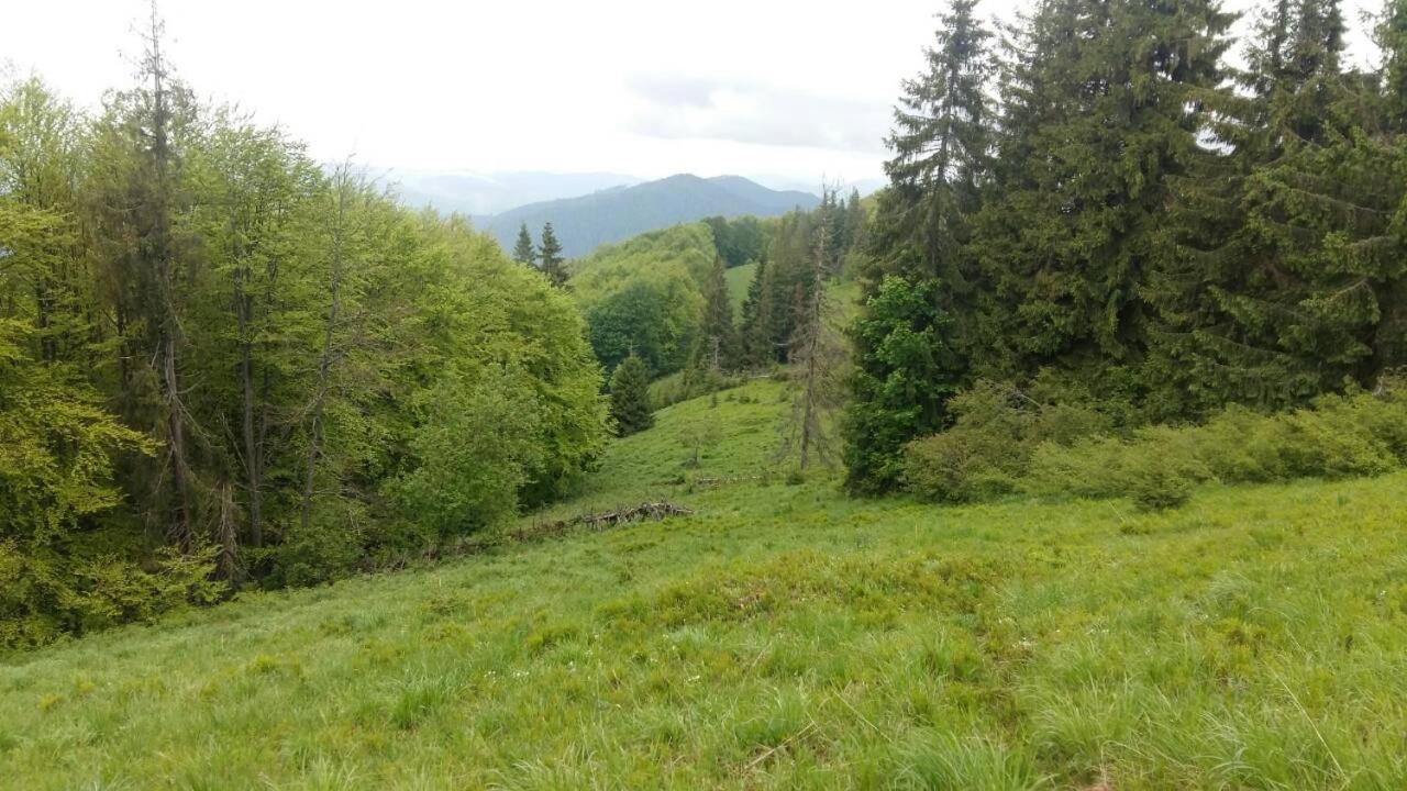 Лісовий Маєток Slawske Exterior foto